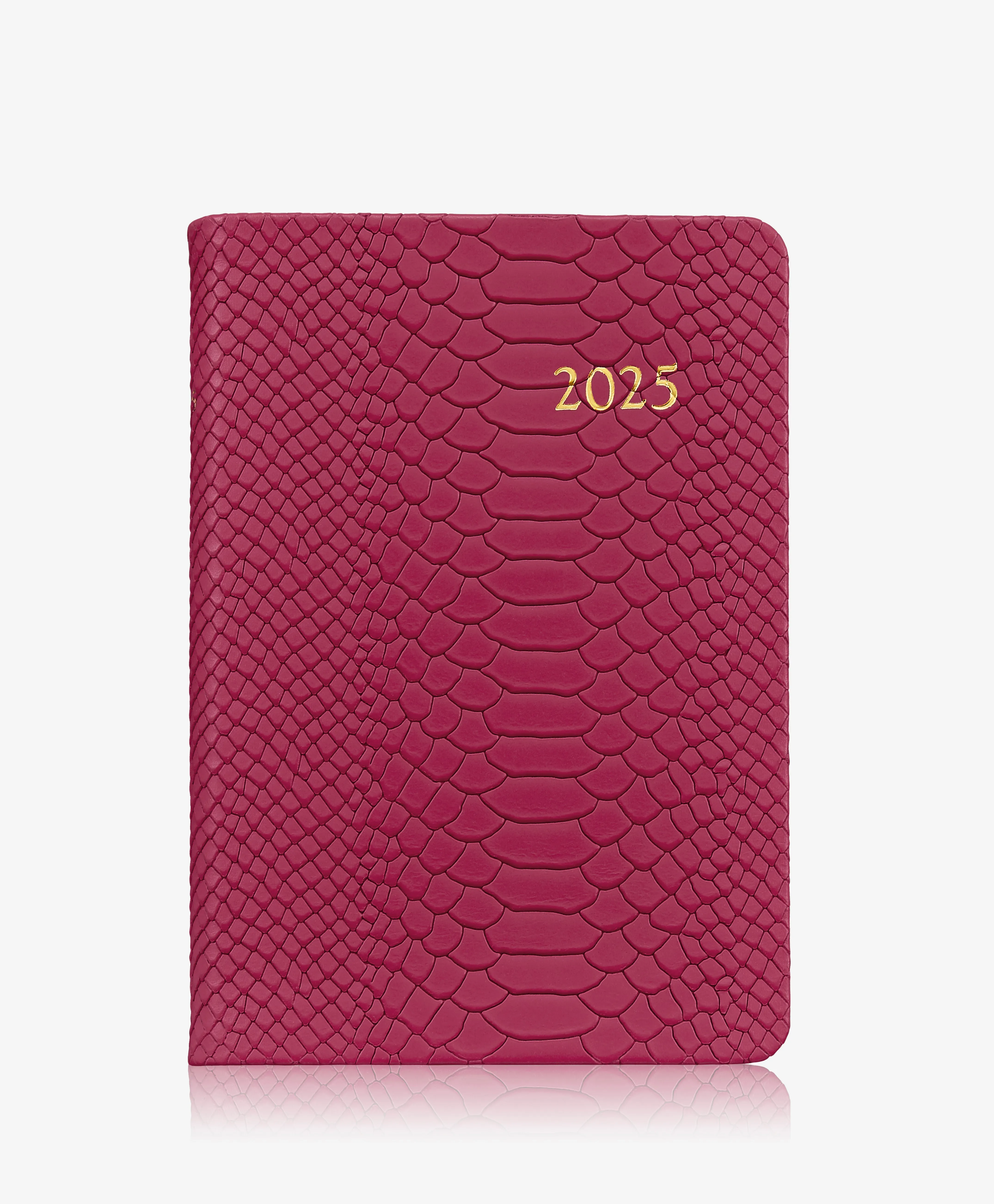 2025 Daily Journal
