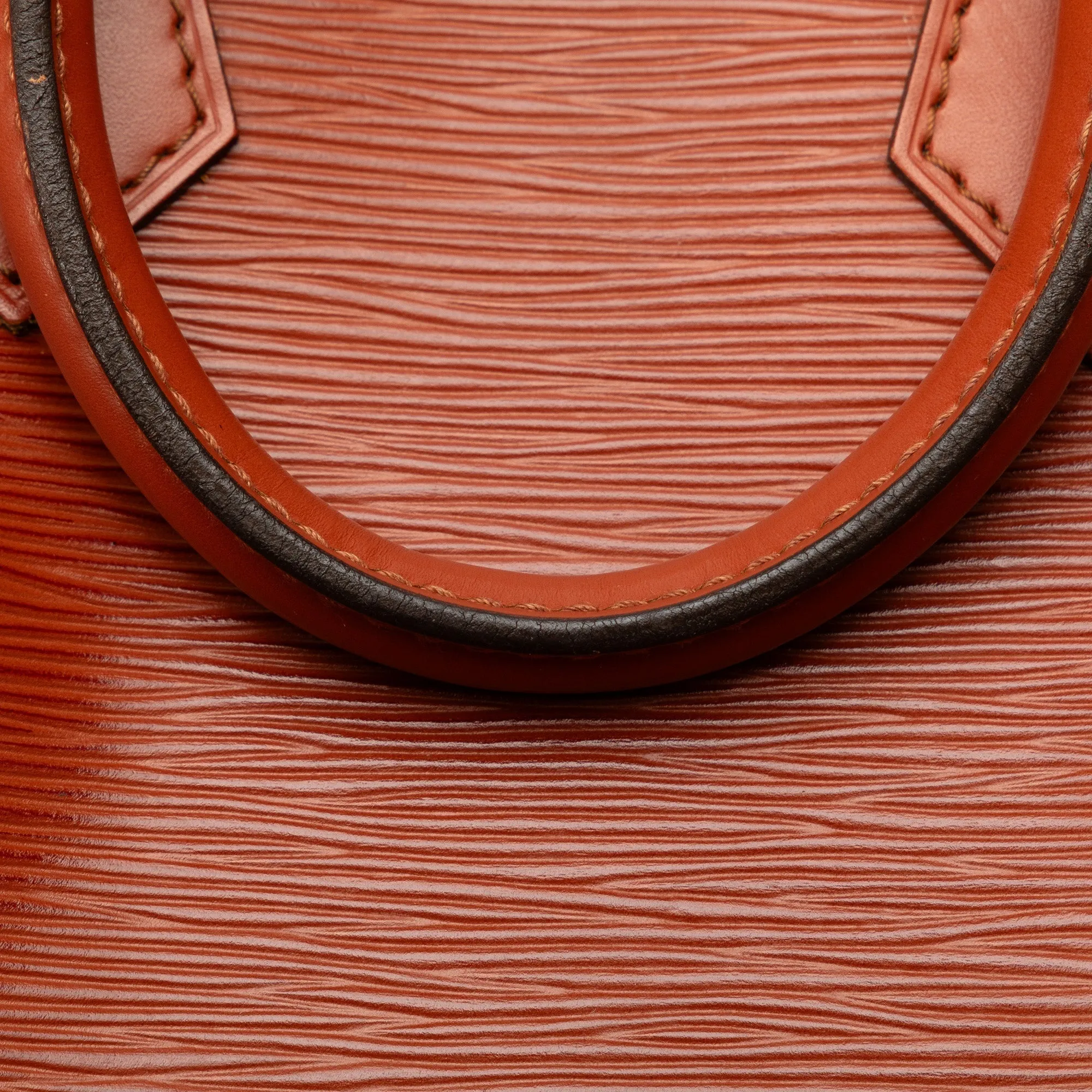 Brown Louis Vuitton Epi Speedy 25 Boston Bag