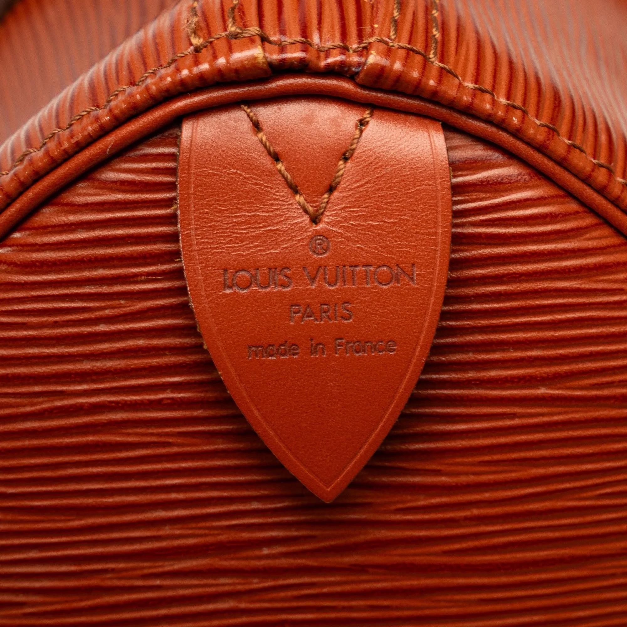 Brown Louis Vuitton Epi Speedy 25 Boston Bag