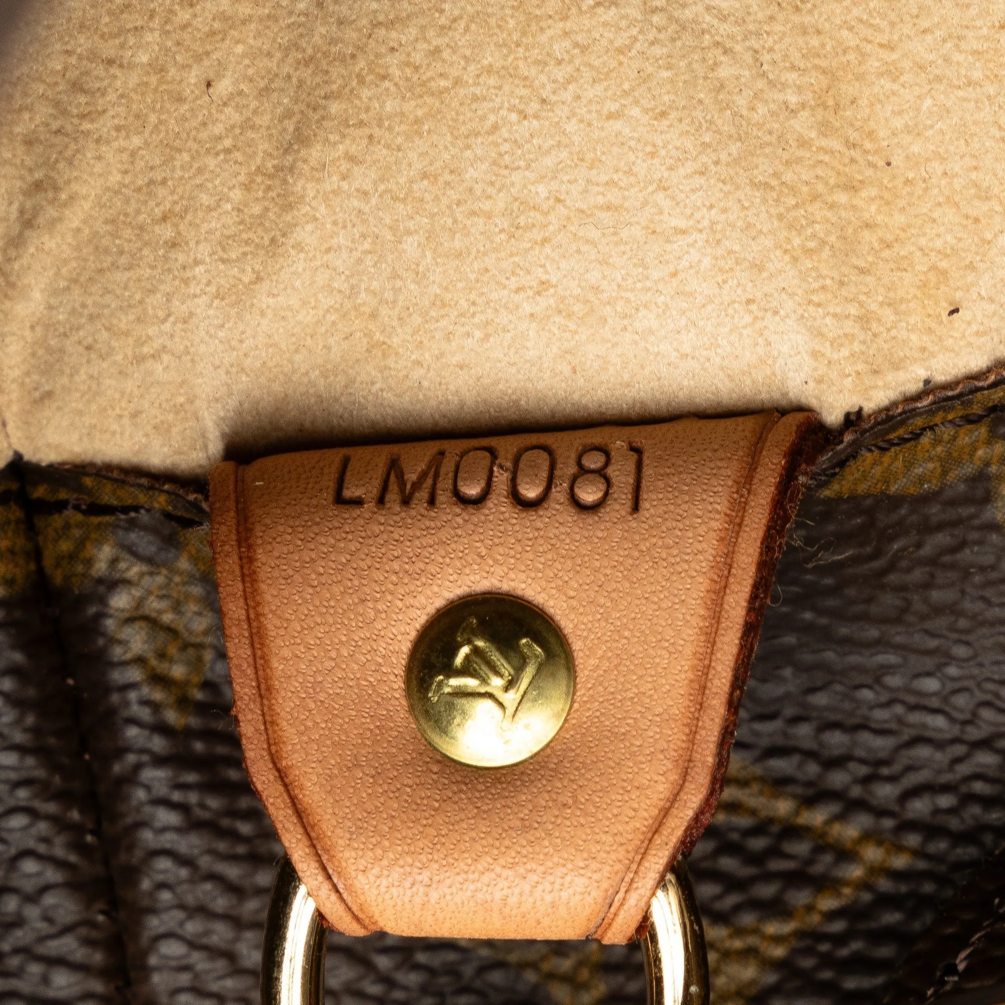 Brown Louis Vuitton Monogram Luco Tote Bag