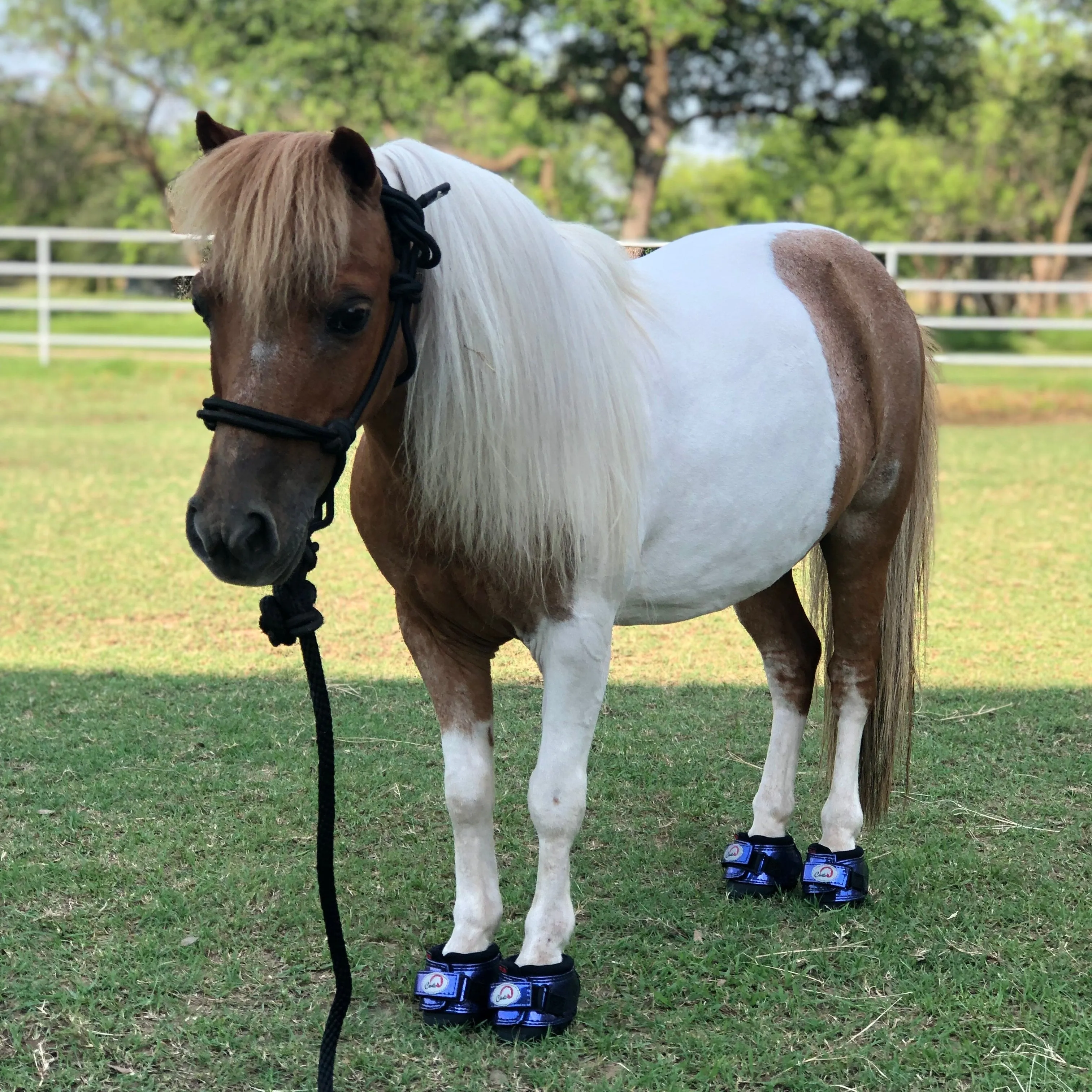 Cavallo Cute Little Boots - Slim