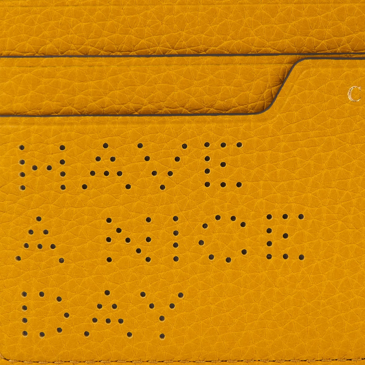 Have a Nice Day Card Case