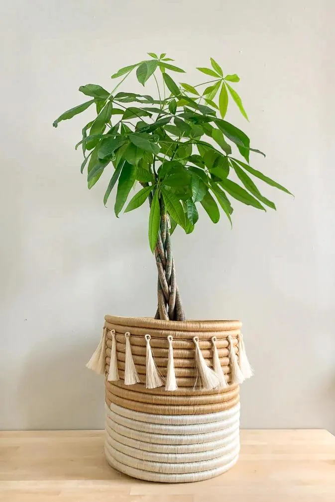 White Vandi Basket with Tassels