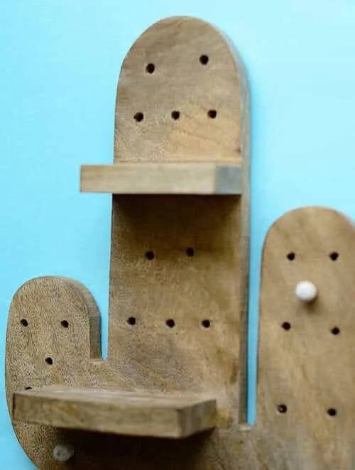 Wooden Stuck On You Cactus Shelf